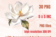 Watercolor Magnolia Flowers Set, a Decorative Illustration by GiraffeCreative (Thumbnail 2 of 8)