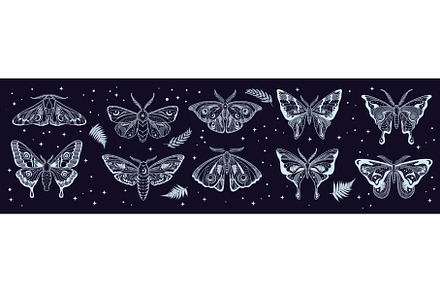 Mystic moth, butterfly silhouettes, an Animal Illustration by Vector Tradition