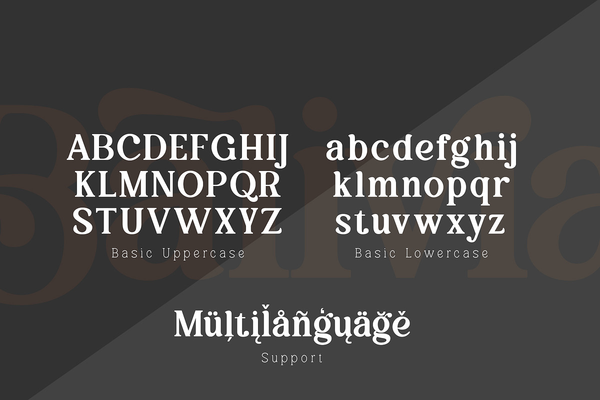 Balivia - Bold Serif Family, a Serif Font by Ardyanatypes (Photo 8 of 12)