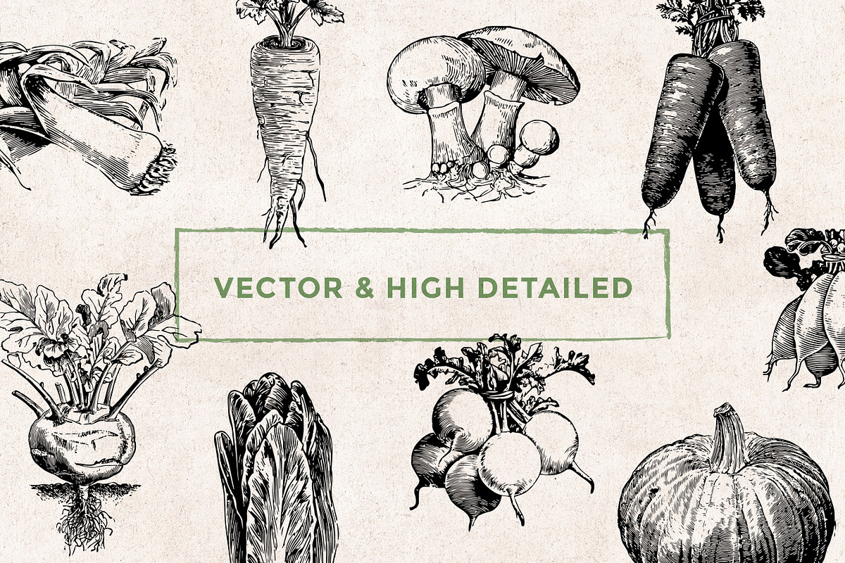 Vegetables Engravings Set, an Object Graphic by Graphic Goods (Photo 5 of 6)