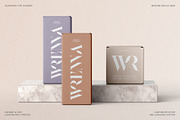 Raving Display Editorial Serif Font, a Serif Font by SilverStag Type Foundry (Thumbnail 2 of 30)