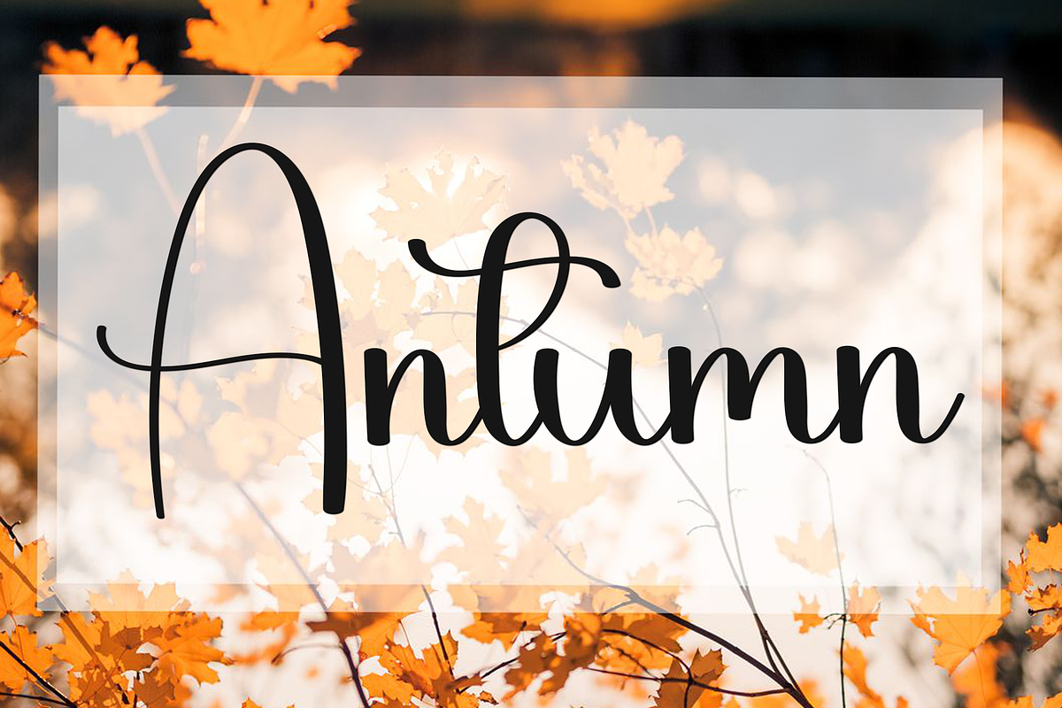 Shella, a Handwritten Font by FreshTypeINK (Photo 4 of 8)
