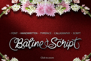 Baline Script Typeface Bonus