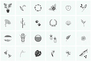 150 Hand Drawn Elements -Nature, an Animal Illustration by Michael Rayback Design (Thumbnail 3 of 22)