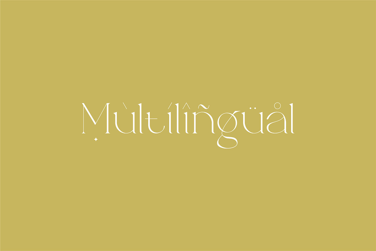 Brillant - Stylish Ligature Serif, a Serif Font by suhadidesign (Photo 8 of 10)