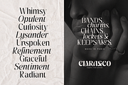 Pure Motif - An Elevated Serif Font, a Serif Font by VP Fonts (Thumbnail 9 of 27)
