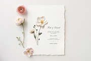 Pressed Flowers (Png) Elements, a Background Graphic by by creative paper (Thumbnail 8 of 13)