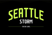 Triton Pro: Sports Font Family, a Sans Serif Font by ANDR35 (Thumbnail 11 of 12)