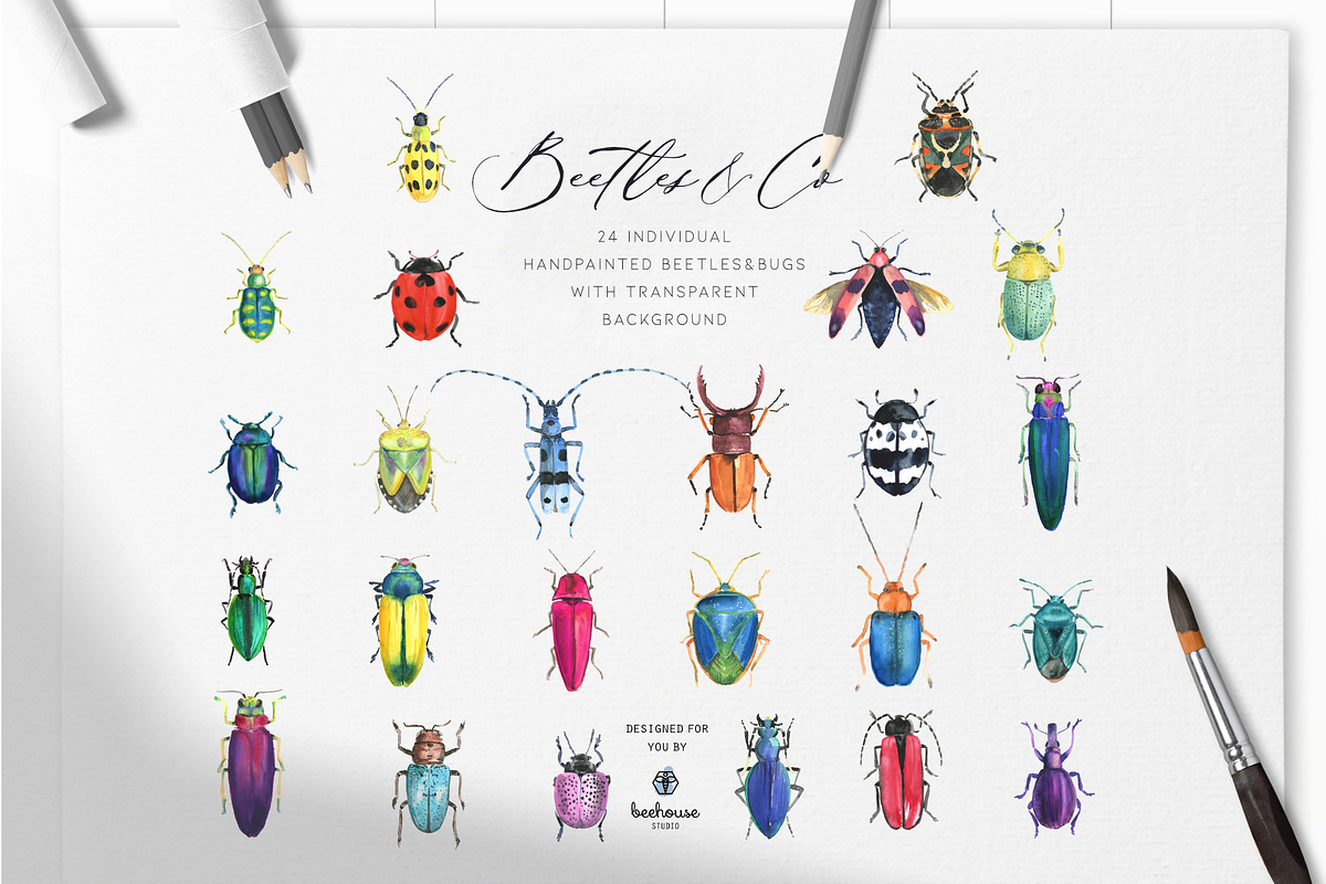 Watercolor Beetles&Co, an Animal Illustration by beehouse studio (Photo 2 of 6)