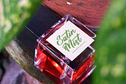 Barlind Unther Bold Calligraphy, a Script Font by Letterena Studios Script (Thumbnail 5 of 10)