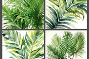 Luxury Tropical Nature, a Nature Photo by pictures for you (Thumbnail 3 of 19)