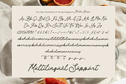 Palm Haven Elegant Handwritten, a Handwritten Font by AmorfaType (Thumbnail 8 of 8)