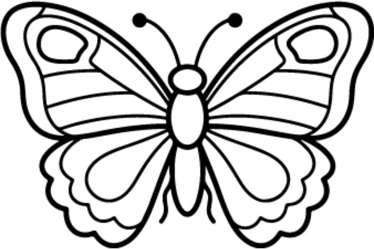 Butterfly SVG Bundle, an Object Graphic by Gfx_Store (Photo 15 of 16)