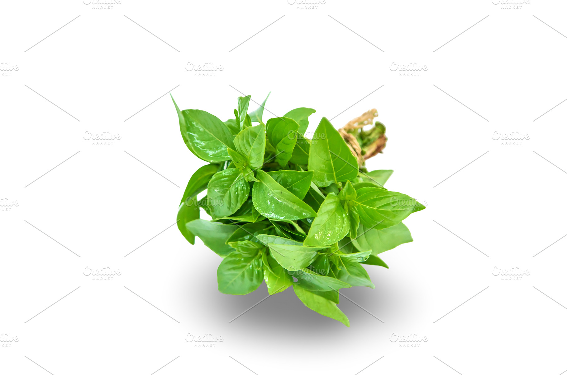 Fresh homemade greens from the, a Food & Drink Photo by yanadjana