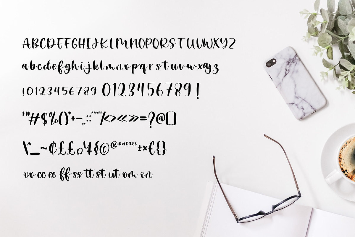 Blossomance Handwritten Font, a Font by typeflair (Photo 5 of 5)
