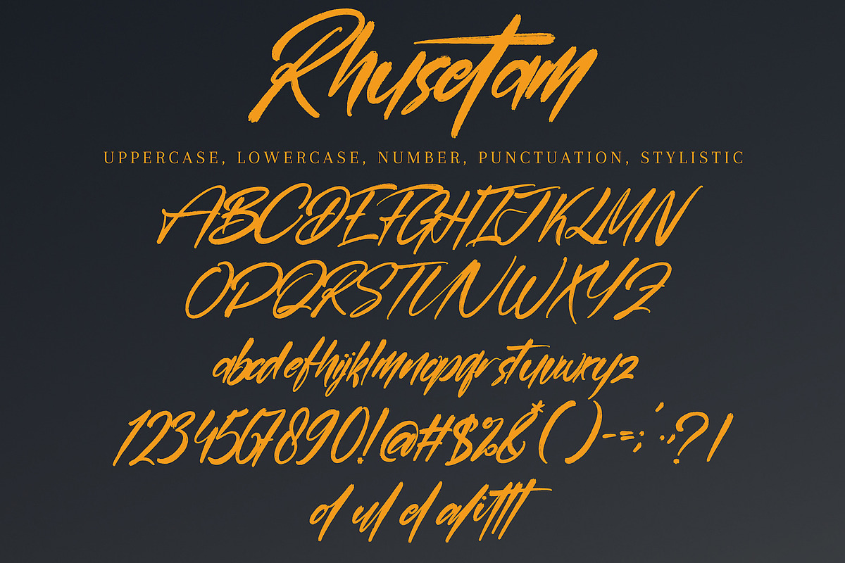 Rhusetam, a Handwritten Font by pineungtype (Photo 6 of 6)