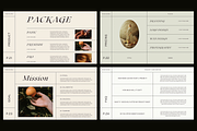 MODICA - Client Welcome Packet, a Presentation Template by Elokka Std. (Thumbnail 11 of 12)