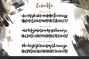 Camilla - 3 Textured Set Brush, a Script Font by Typehand Studio (Thumbnail 2 of 7)