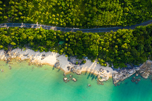 Road and tropical sea stock photo containing coconut and aerial view