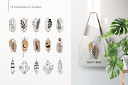 Antica. Aesthetic Logos Generator, a Branding & Logo Template by Cosmic Store (Thumbnail 8 of 16)
