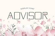 Advisor Summer Font, a Script Font by DmDesignsStoreArt (Thumbnail 1 of 2)
