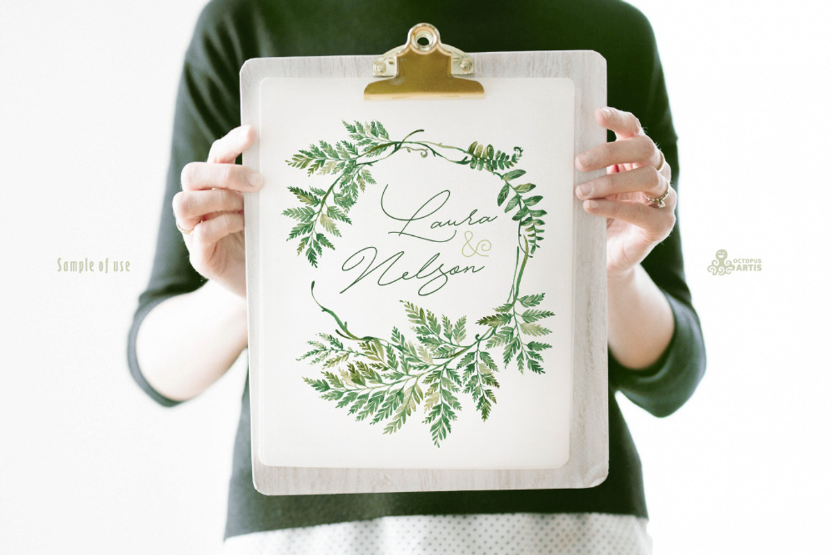Fern Land. Watercolor Collection, an Illustration by OctopusArtis (Photo 5 of 8)