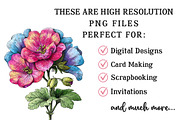 Whimsical Spring Wildflower Clipart, an Illustration by OK Design (Thumbnail 4 of 6)