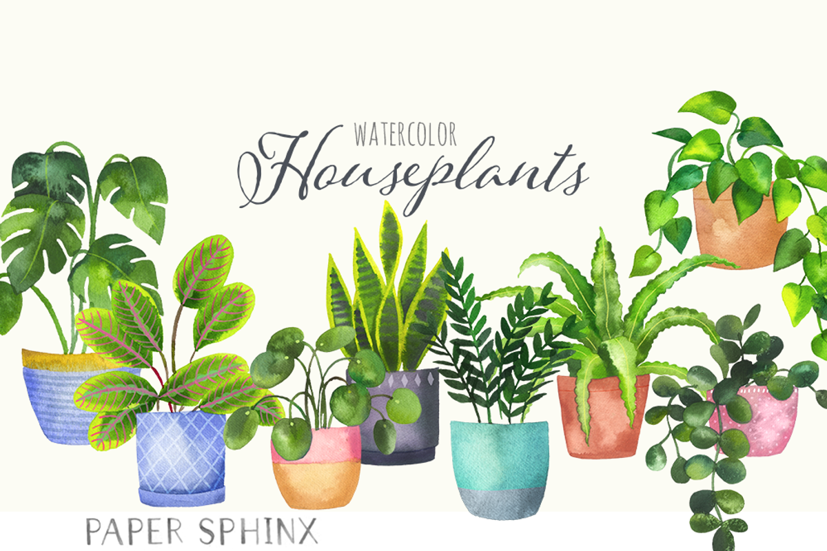 Watercolor House Plants Clipart, an Illustration by PaperSphinx (Photo 1 of 3)