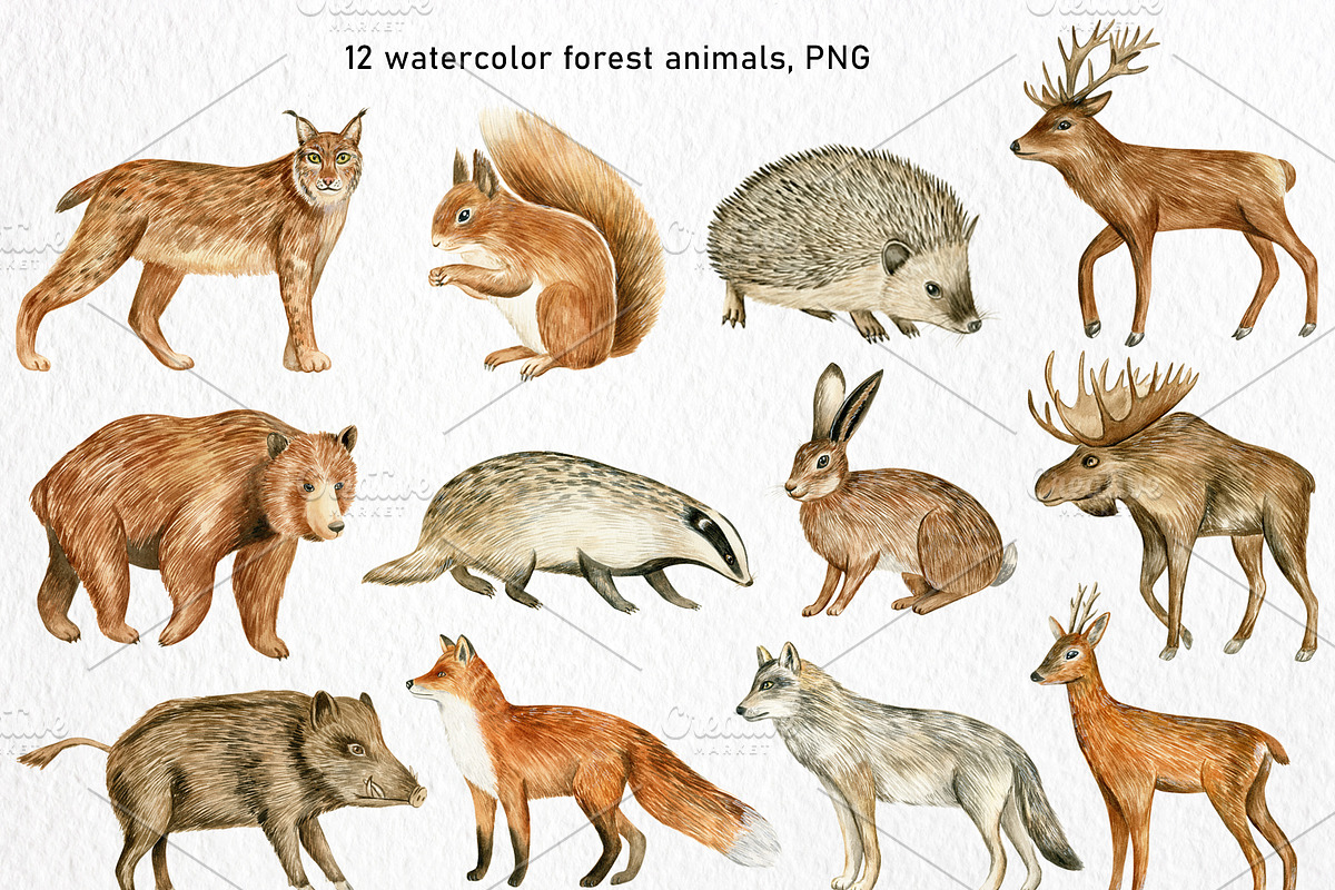 Watercolor Forest Animals Clipart, a Graphic by svetodesign (Photo 2 of 12)