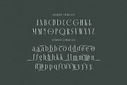 Martin Langley Elegant Serif, a Serif Font by Cruzine (Thumbnail 6 of 8)