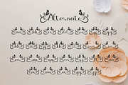 Butterfly - Script Font, a Script Font by Densu Creative (Thumbnail 7 of 7)