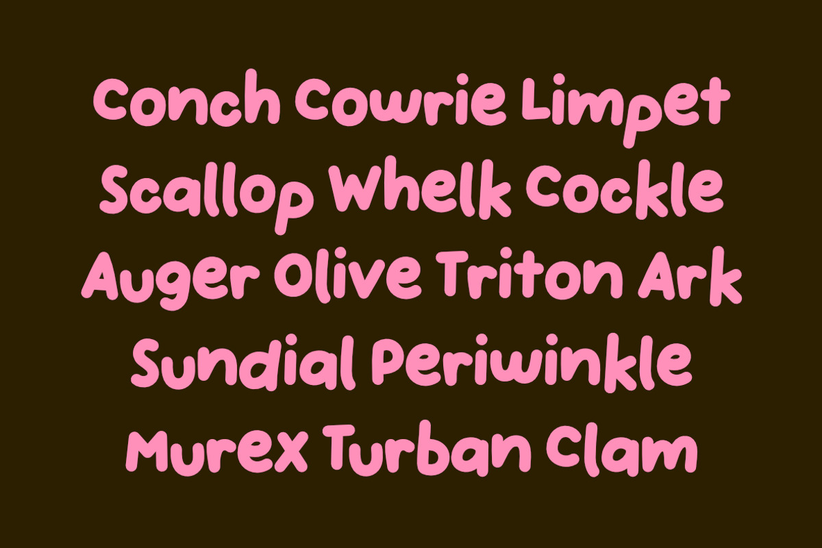 HANDPICKED SEASHELLS | Bouncy Font, a Handwritten Font by type peace (Photo 4 of 11)