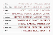 Atteron-Elegant Serif Font, a Serif Font by din-studio.com (Thumbnail 12 of 16)