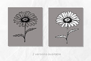 Daisy Flowers Line Art SVG, an Object Graphic by Dervik Art Store (Thumbnail 6 of 8)