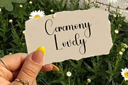 Awesome Summer, a Handwritten Font by FreshTypeINK (Thumbnail 4 of 8)