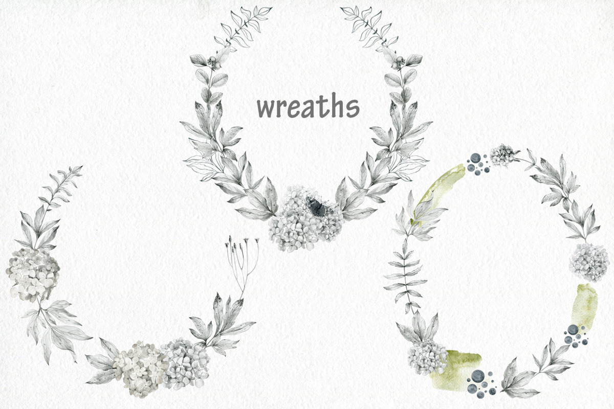 Butterflies and floral collection., an Illustration by TaPilipa (Photo 8 of 13)