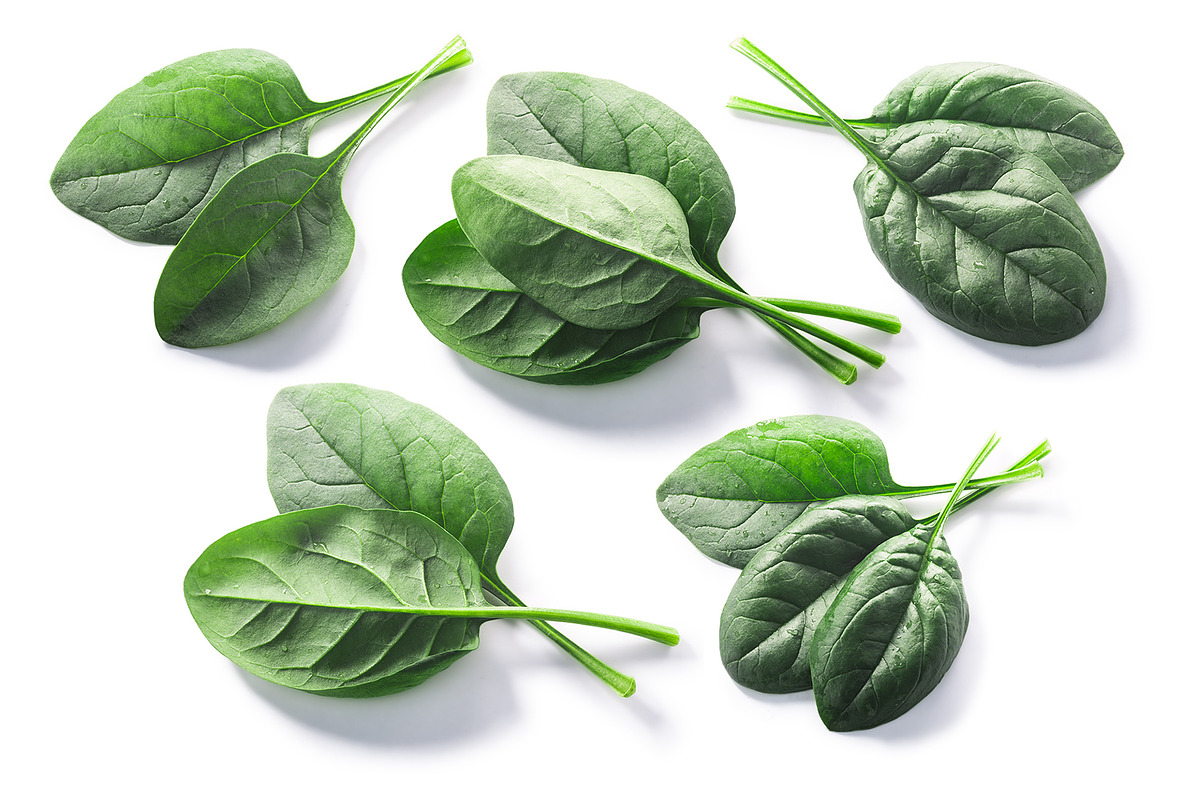 Spinach from above, an Object Graphic by Hortimages (Photo 1 of 2)