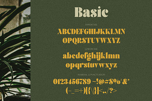 Brolike Typeface