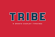 Tribe, a Sans Serif Font by Studio One Four (Thumbnail 1 of 5)