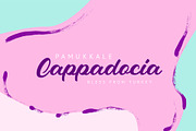 Vladiviqo, a Script Font by Incools (Thumbnail 6 of 7)