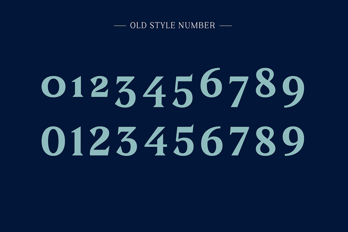 Clarinette Bold, a Serif Font by OceaneM (Photo 2 of 6)