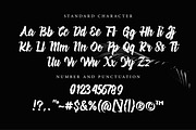 Velocitta - Script Typeface, a Font by Gumrega Studio (Thumbnail 5 of 6)