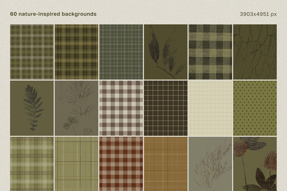 Forest floor nature backgrounds, a Background Graphic by viktoriiavk (Photo 3 of 8)