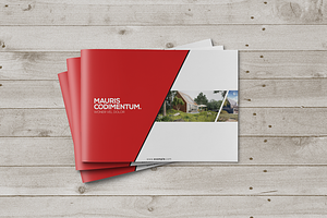 Multipurpose Brochure Template