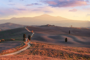 Tuscany sunny hills stock photo containing agriculture and beautiful