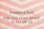 Freebird Font, a Font by Maybe Sparrow Designs (Thumbnail 4 of 4)
