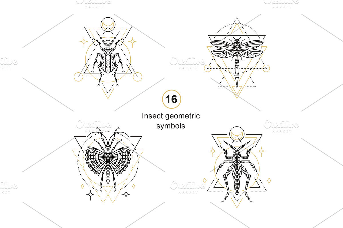 16 Insect symbols and 4 Patterns, an Outline Icon by Anna Smirnova (Photo 2 of 12)