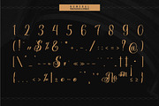 Stejita | Tattoo Script Font, a Script Font by Denustudios (Thumbnail 11 of 14)