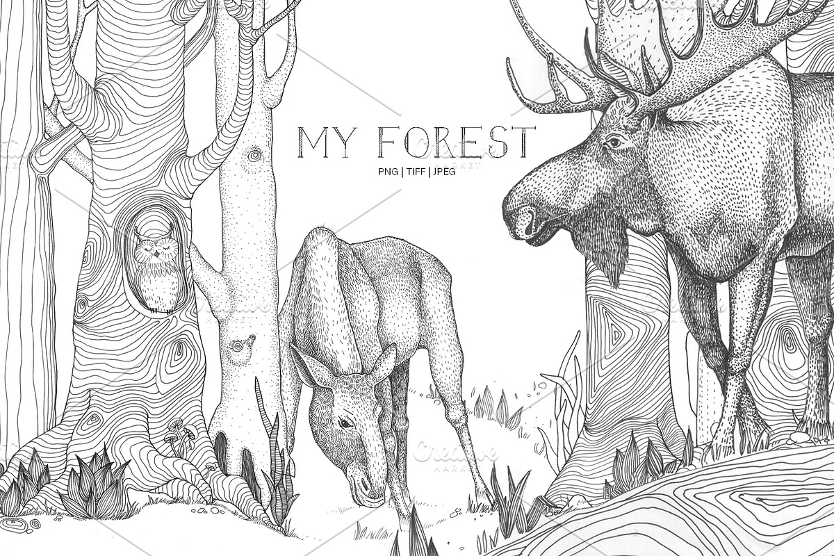 My Forest, an Animal Illustration by YuliaBiser (Photo 1 of 5)