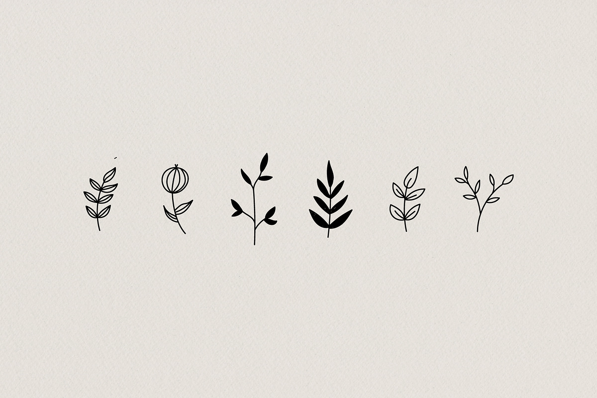 Botanical Hand Drawn Illustrations, a Decorative Illustration by Irene Florentina Design (Photo 4 of 5)
